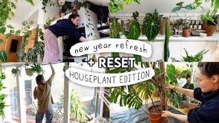 1.5 HOURS(!!) of Resetting My Houseplant Collection  Huge January RESET 2025