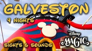 Disney Magic 4 Night Cruise from Galveston to Progreso - Day by Day