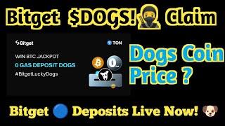 Bitget Dogs Coin Price ? Bitget Deposit live Claim Daily Gauro Fikar