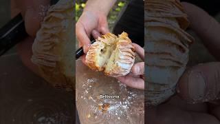 Sfogliatella test AGAIN