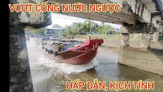 Ghe tàu vượt cống Cái Quanh nước ngược trông rất hấp dẫn, kịch tính.