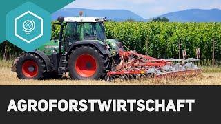 Agroforstwirtschaft