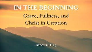 In the Beginning: Grace, Fullness, and Christ in Creation.