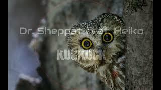 Dr. Sheppat feat. Heiko - Kuckuck