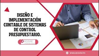 Diseño e implementación contable de sistemas de control presupuestario.