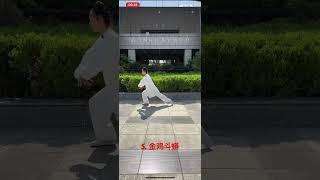 太乙游龙拳5．金鸡斗蟒