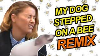 My Dog Stepped On a Bee (Remix)