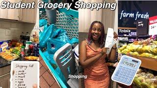 Grocery shopping on a student budget + saving tips !! | University of Pretoria vlog