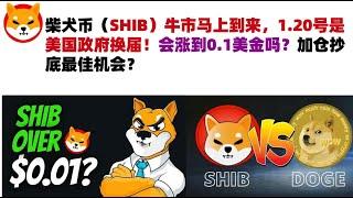 柴犬币（SHIB）牛市马上到来，1.20号是美国政府换届！会涨到0.1美金吗？加仓抄底最佳机会？#shib币#柴犬币#屎币行情分析！