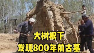 地里發現800年前古墓，自媒體人圍觀報到，考古隊也聞訊趕來挖掘 #考古 #盜墓 #歷史 #盜墓筆記 #九層妖塔