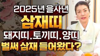 미리보는 2025년 을사년 삼재띠 돼지띠 토끼띠 양띠 벌써 악삼재가 들어왔다? 채은보살