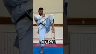 Karate kicks #karate #martialarts #shotokan #kicks