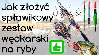 Jak złożyć spławikowy zestaw wędkarski na ryby