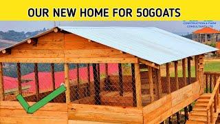 My New Home for 50 heads of GOATS | 2023