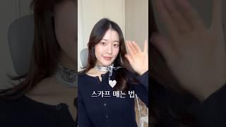 (똥손가능) 스카프 예쁘게 매는 법디올 미차 트윌리