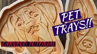 HOW TO: MAKE PET TRAYS WITH CARVECO SOFTWARE TUTORIAL