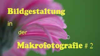 Bildgestaltung in der Makrofotografie #2