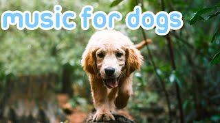 [NO ADS] Deep Relaxation Music for Dogs | 20 Hours