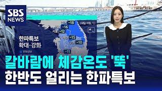 [날씨] 칼바람에 체감온도 '뚝'…한반도 얼리는 한파특보 / SBS