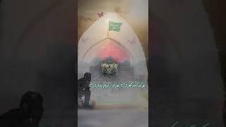 استوری ویژه امام حسن تو که حرم نداری استوری امام حسن | استوری مذهبی