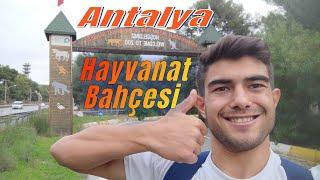 Antalya Hayvanat Bahçesini Geziyorum