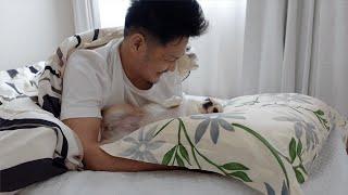 犬（チワワ）が何度も寝る飼い主を阻止するためにとった最終手段が可愛すぎるwww