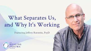 What Separates Us, and Why it's Working | The Healing Trauma Program