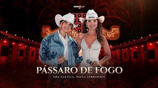 Ana Castela ft. @paulafernandes - Pássaro de Fogo (DVD Herança Boiadeira)