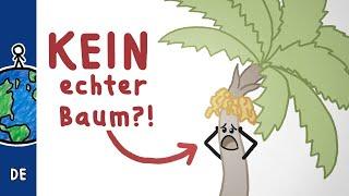 Wir wissen nicht was ein Baum ist