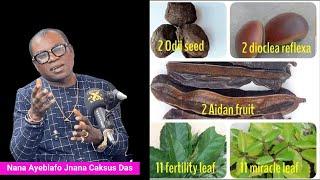 5 Elemental Mystical Herbs For Total Protection – Nana Ayebiafo Jnana Caksus Das