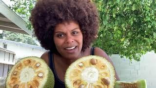 How to cut a Jackfruit!