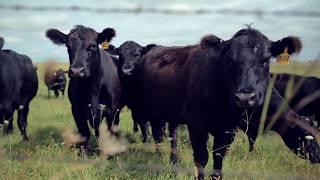 Cattlemen to Cattlemen - Past Presidents of NCBA