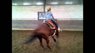 Thyra en Texas Spinnen @ Double R Ranch Reining