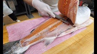 [4K]스코틀랜드 통연어 해체와 숙성비법 공개,연어초밥,연어회_Fillet a Whole Salmon &sushi and sashimi_Korean street food