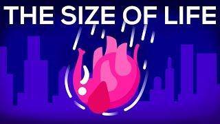 What Happens If We Throw an Elephant From a Skyscraper? Life & Size 1