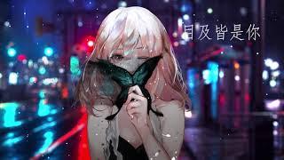 (抖音神曲)  小蓝背心 - 目及皆是你 (DJ REMIX) 超好听！给你不一样的感觉！