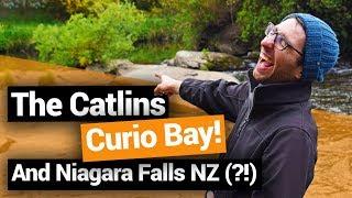 ️ Exploring The Catlins: Curio Bay & Niagara Falls –  New Zealand's Biggest Gap Year