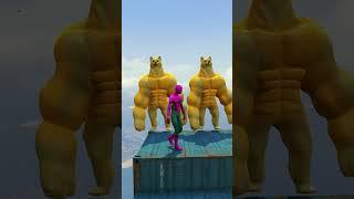 Spiderman Ragdolls | Jumps / Fails in  GTA 5 Episode no.242 #gta5