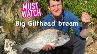 GILTHEAD BREAM MISSION-FISHING GUIDES DEVON SERIES-KINGSBRIDGE ESTUARY-PAUL BASSMAN