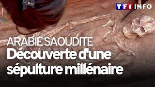 Arabie saoudite : l'incroyable découverte d'un tombeau millénaire devant nos caméras