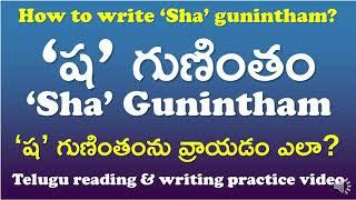 'Sha' Gunintham-‘ష' గుణింతం | How to read & write ‘Sha’ gunintham? | Telugu Writing Practice Video