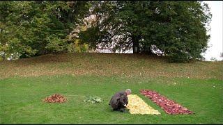 The Art of Cleaning Up Autumn. | Switzerland Tourism