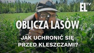 Jak uchronić się przed kleszczami? | Oblicza lasów #25