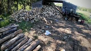 Firewood Business, Armands HighLife Vlog,  TGOD,