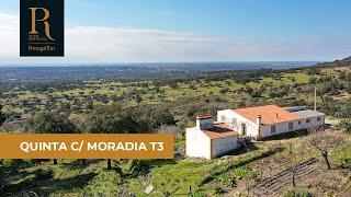 Quinta com 7,6 hectares e moradia T3 | REF. 815