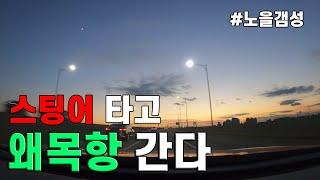 스팅어 타고 왜목항 간다  (#스팅어 3.3 GT AWD, #드라이브 영상)