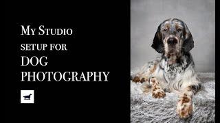 My Setup For Studio Dog Photography