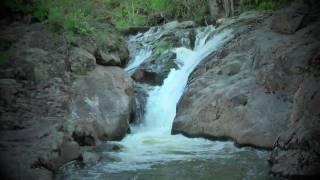 Forward Sounds of Water