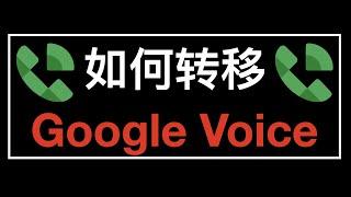 how to transfer google voice number - 如何转移 Google Voice 到另外的账户