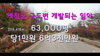 [번호631]경북 예천군 용문면 국도변 개발되는 임야 평당1만원